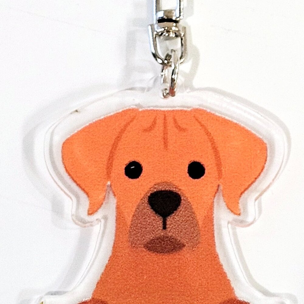 Ridgeback Dog 2D Acrylic Keychain Pet Lover Gift Bag Charm Accessory